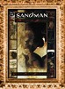 Sandman 8